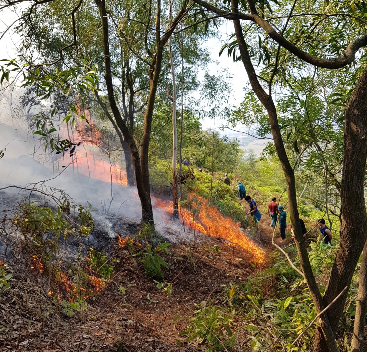Cháy rừng tại xã Minh Đức, huyện Việt Yên
